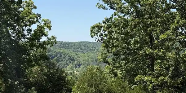 535 Skyline Drive