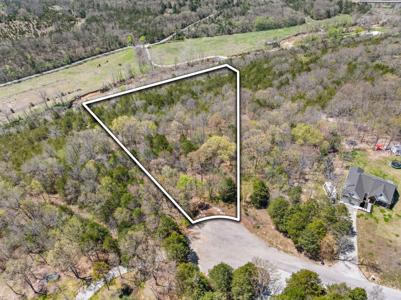 000 Lot 29 Mills Hollow Court