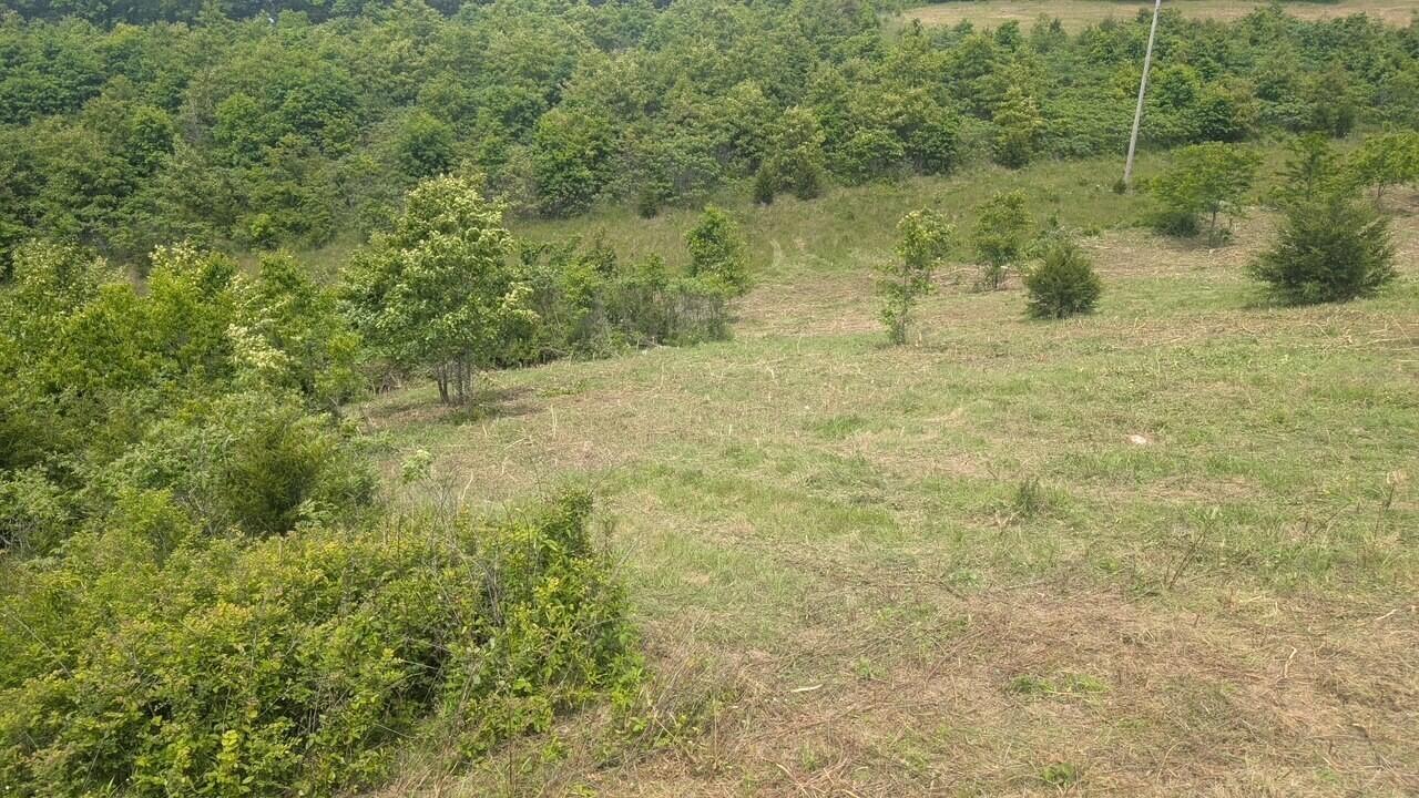 Image 4 Image 4