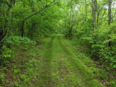 Tracts 1-3 Dogwood Hills Estates