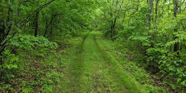 Tracts 1-3 Dogwood Hills Estates