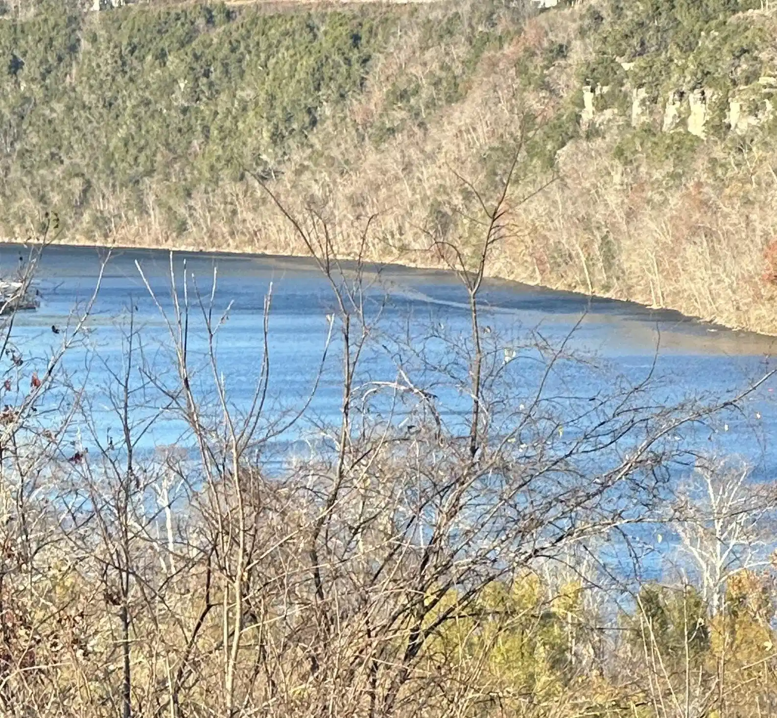 Image 1 Image 1