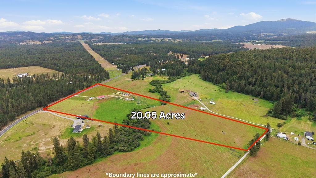 Image 4 Image 4