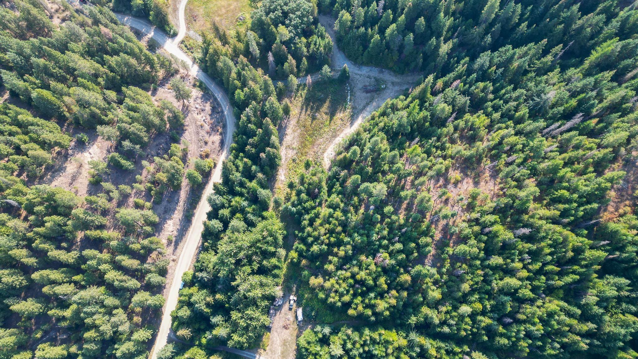 Image 4 Image 4