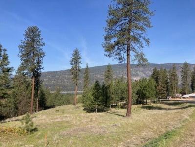 1349 Lake Roosevelt Way