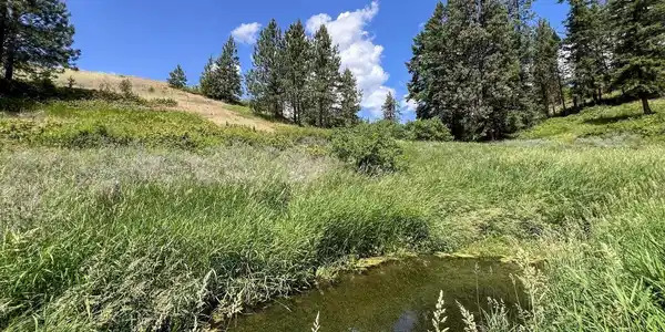Image 4 Image 4