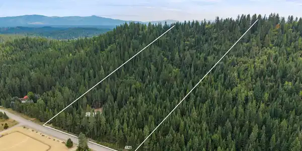 Image 4 Image 4