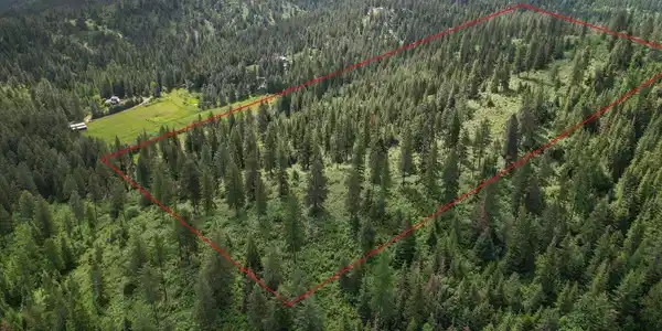 Image 3 Image 3