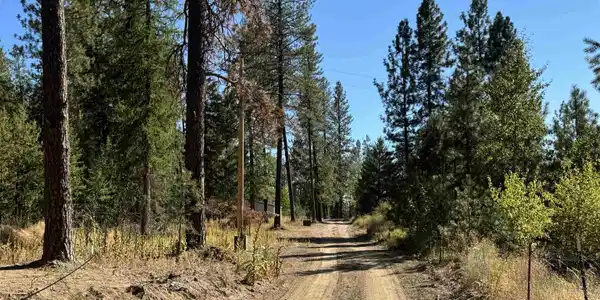 Image 3 Image 3