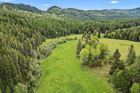 205X Dry Creek Rd