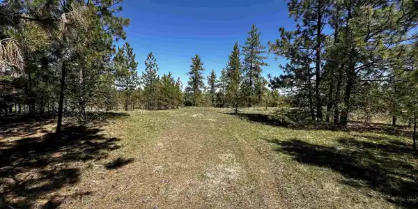 Image 2 Image 2