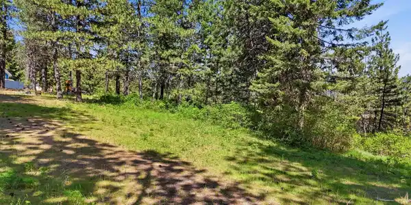 12703 S Alpine Fern Rd