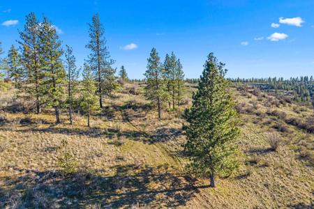 27220 E Underwood Canyon Rd