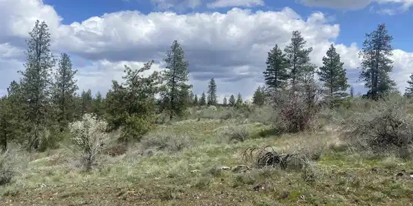 Image 3 Image 3