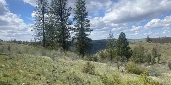 Image 4 Image 4
