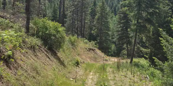 Image 3 Image 3