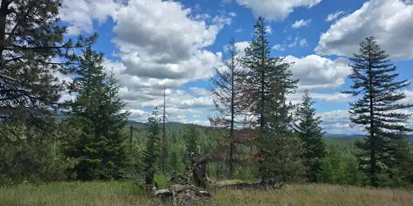 Image 4 Image 4