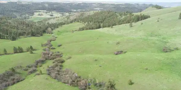 Image 4 Image 4