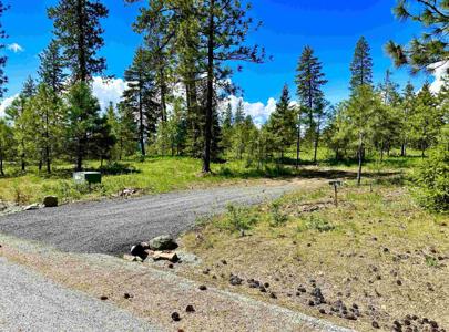 1649 Palmer Loop