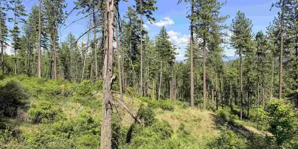 Image 3 Image 3