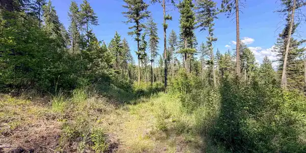 Image 4 Image 4