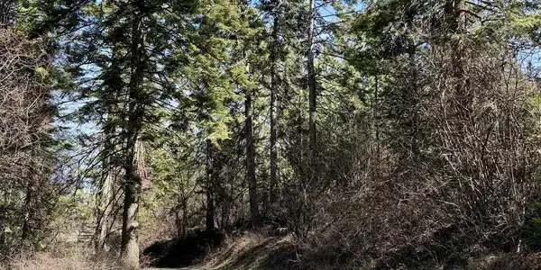Image 3 Image 3
