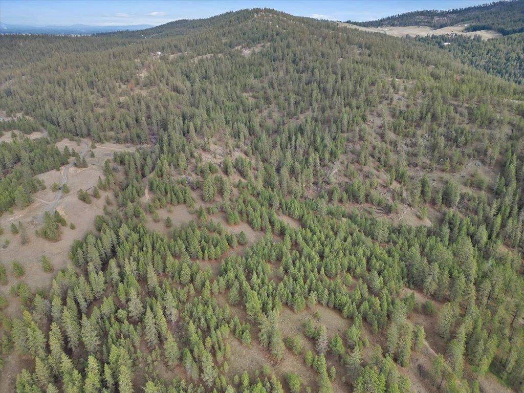 Image 4 Image 4