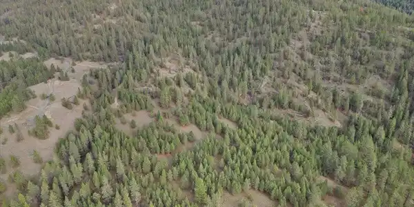 Image 4 Image 4