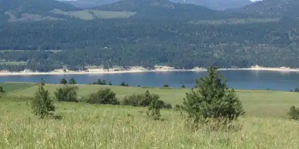 Image 3 Image 3