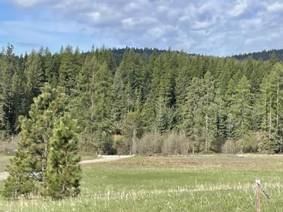 4435 Whittier (Lot 1) Rd