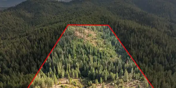 Image 3 Image 3