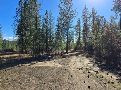 62XX Castle Rock Creek Rd