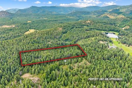 432X Bussard Lake Rd