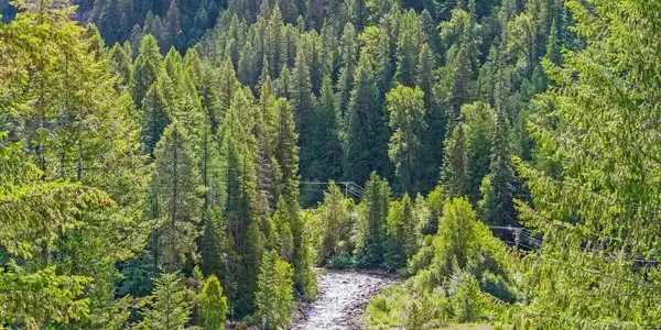 Image 2 Image 2