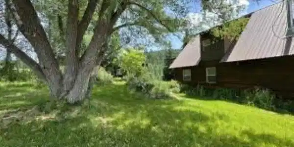 Image 3 Image 3