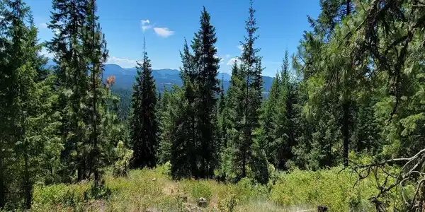 Image 4 Image 4