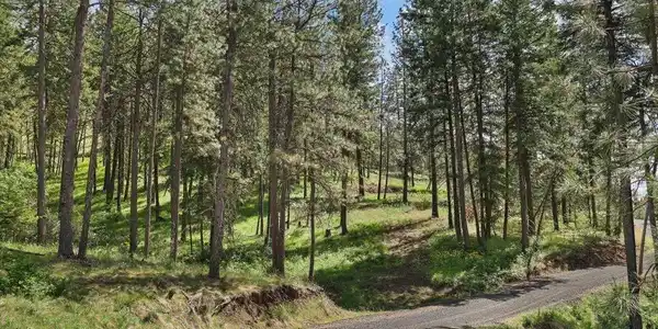 Image 2 Image 2