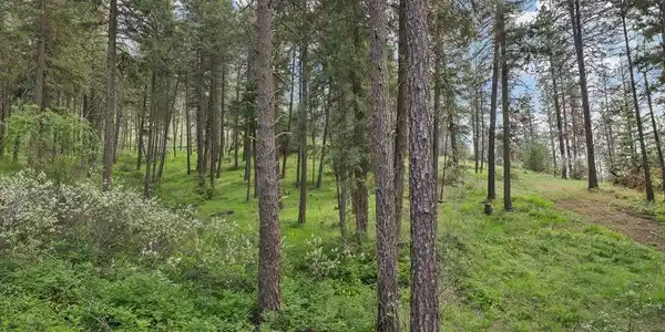 Image 4 Image 4