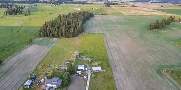 Image 4 Image 4