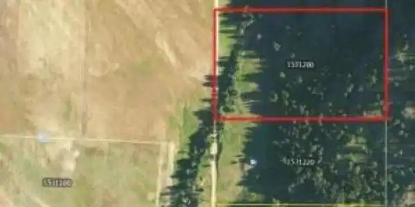 Image 3 Image 3