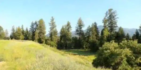 Image 4 Image 4