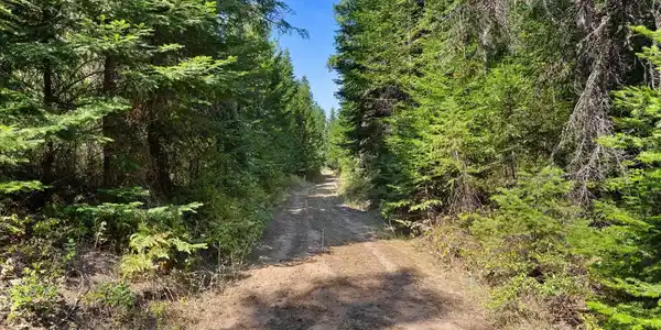 Image 4 Image 4