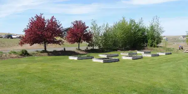 Image 4 Image 4