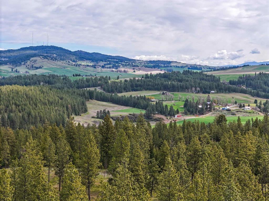 Image 1 Image 1