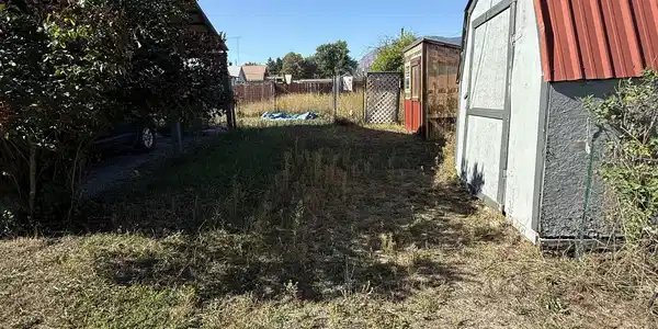 Image 4 Image 4