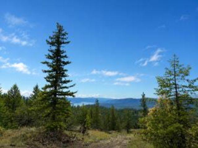 Image 4 Image 4
