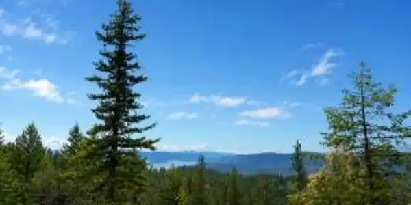 Image 4 Image 4