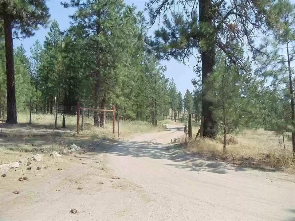 Image 1 Image 1