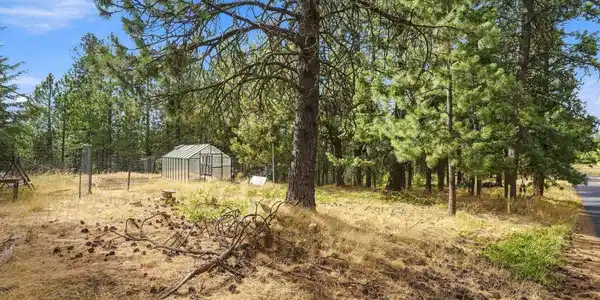 Image 4 Image 4
