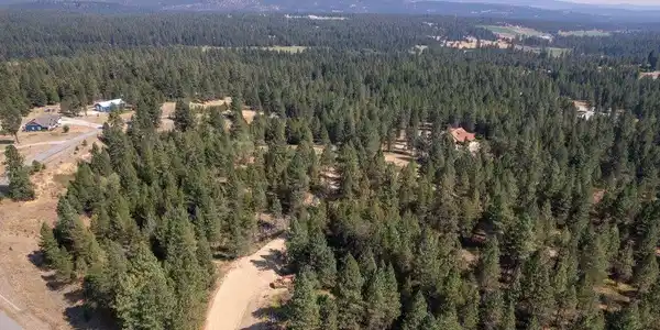 Image 3 Image 3